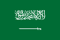 Cam Model Country: Saudi Arabia