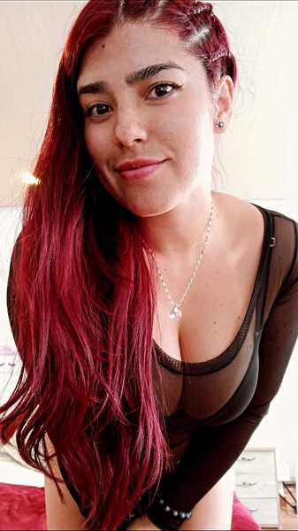 meehturt Photo meehturt Photo