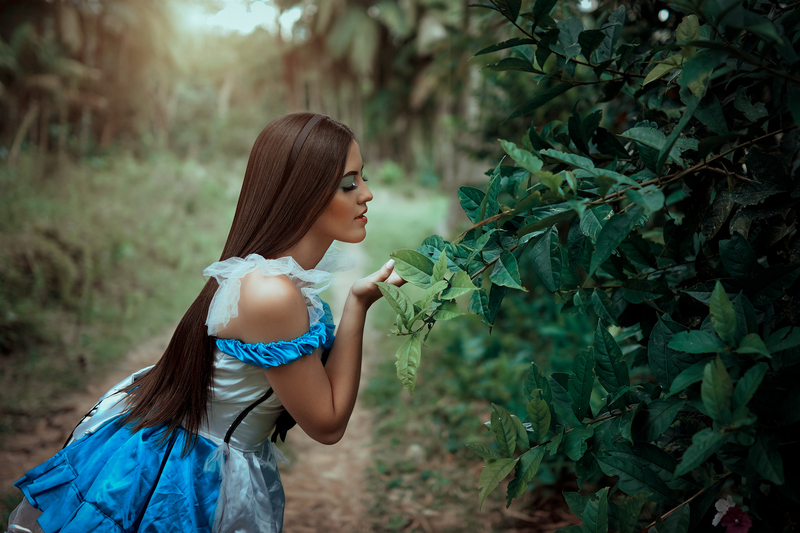 AlicceGray Photo