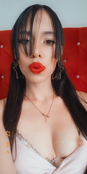 Katapalmer Photo