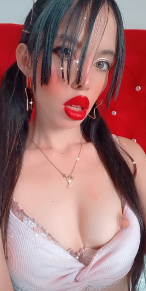 Katapalmer Photo