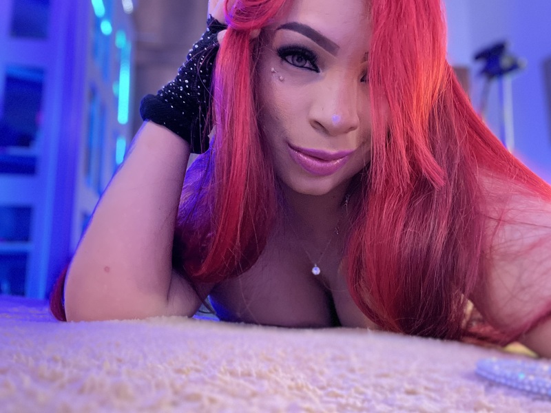 MacaSweet Photo MacaSweet Photo