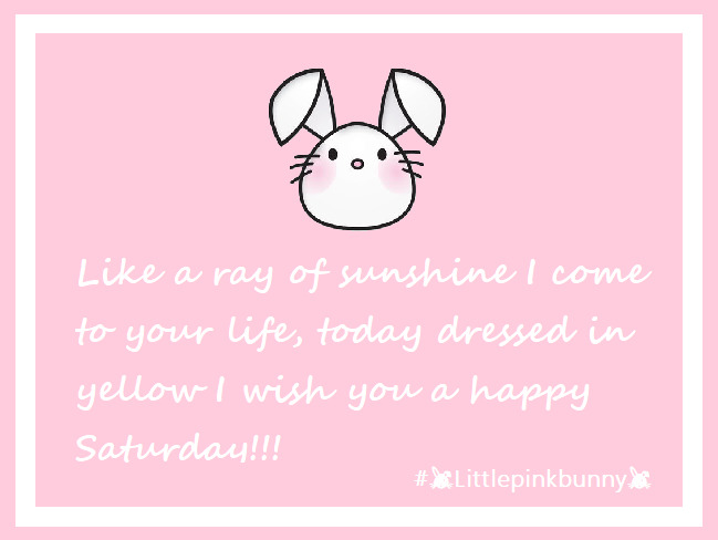 LittlePinkBunnny Photo