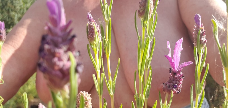 THESensualhorny Photo