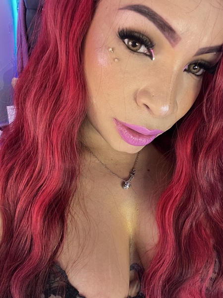 MacaSweet Photo MacaSweet Photo