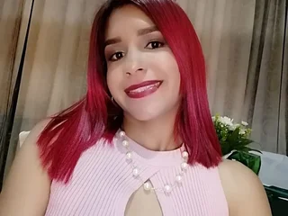 LanyBms Live Cam