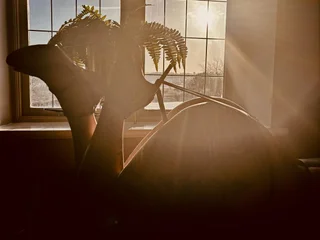 KatieCarterX Live Cam